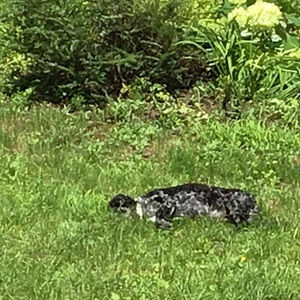 Meet your Posher, Audrey